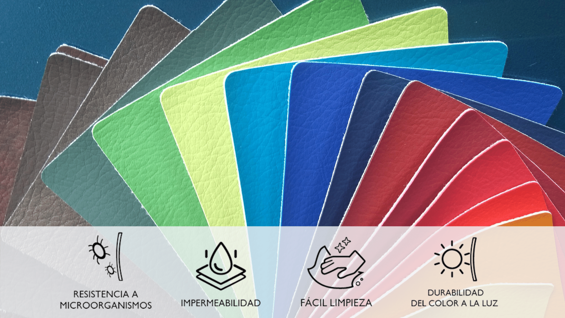 Odoo • Imagen y texto